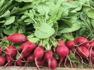 Farmer's Market in Sandpoint, Idaho